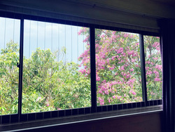 Braddell View (D20), Apartment #253778361